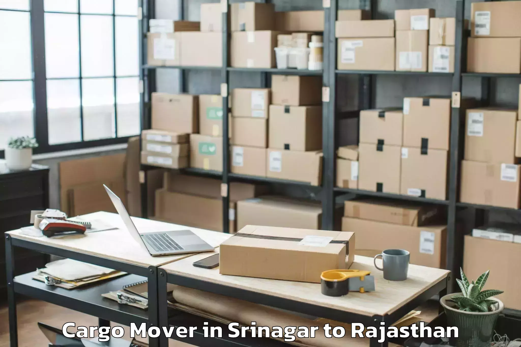 Affordable Srinagar to Jecrc University Jaipur Cargo Mover